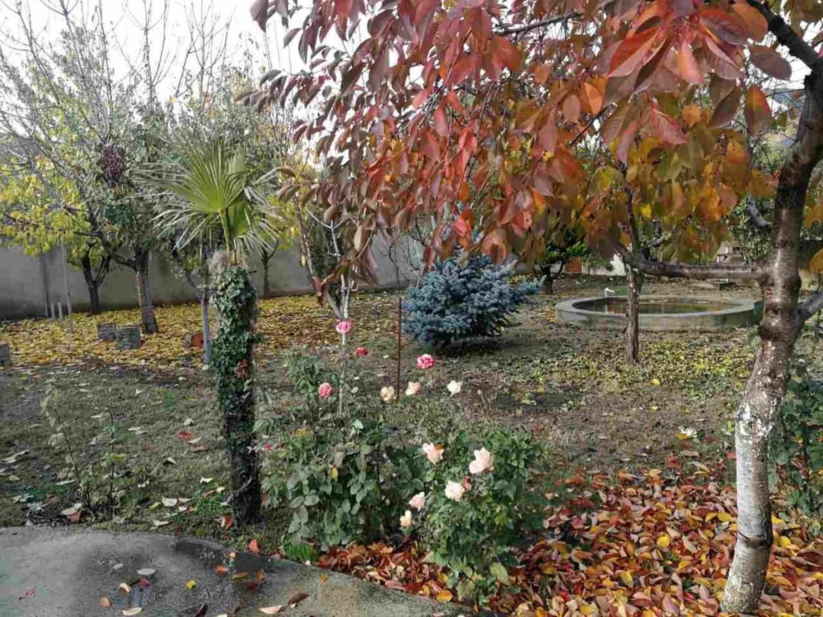 Хостелы HouseHold Тбилиси-15